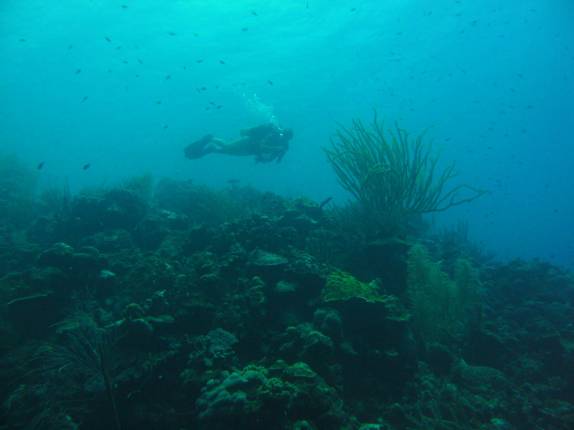 Mergulhando em Karpata, no norte de Bonaire